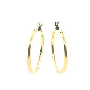 Gold Hoop Earrings