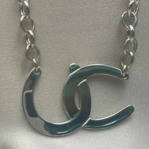 Double Horseshoe Pendant with Belcher Chain